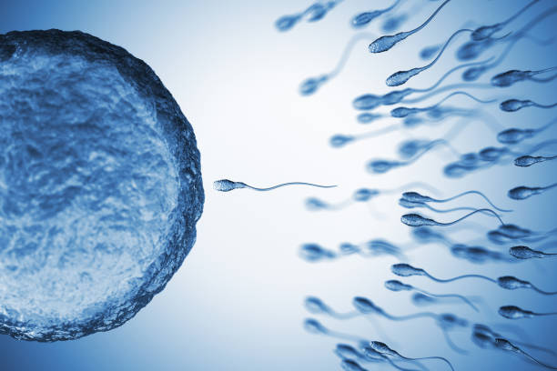 Un donante, 197 niños y una mutación genética: el caso que sacudió la reproducción asistida en&nbsp;Europa